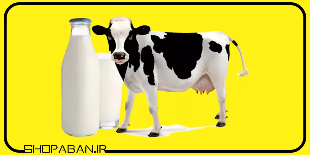 خواص و عوارض کرم شیر گاو چیست؟ اصلا کرم شیر گاو ارزش خرید داره؟ حتما بخون! 11